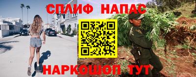 прущие грибы Новокубанск